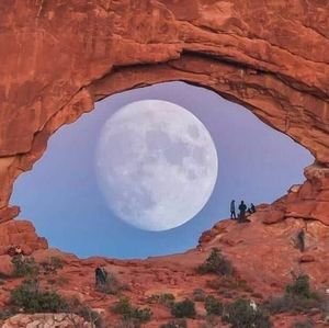 Meet your Posher, Bob